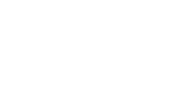 Race Casino