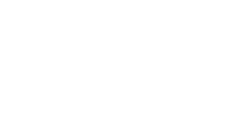 Mr Punter